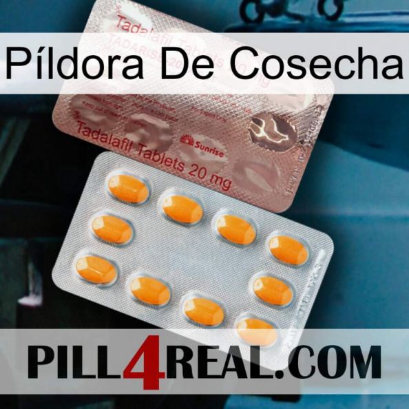 Píldora De Cosecha new13.jpg